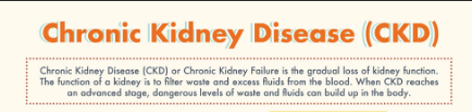 Chronic Kidney Diseases (CKD)