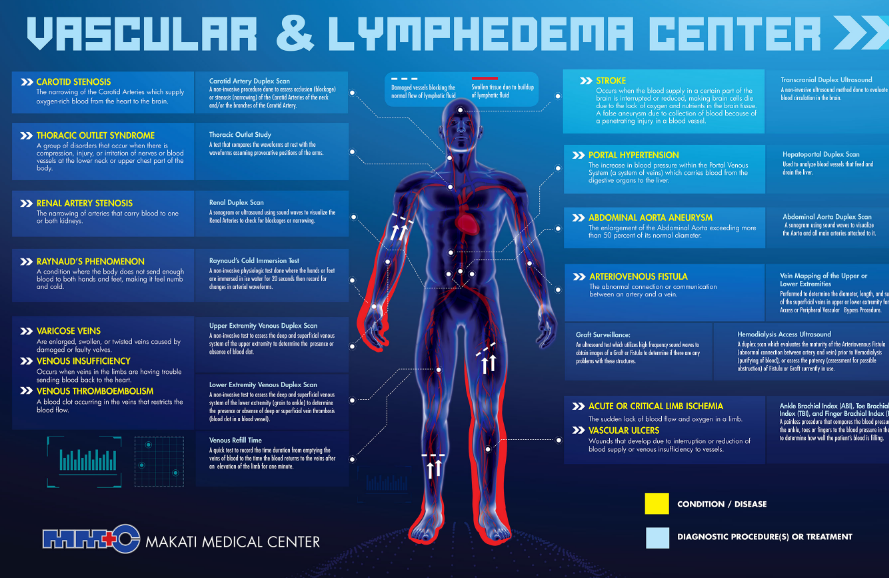 Vascular & Lymphedema (2018)