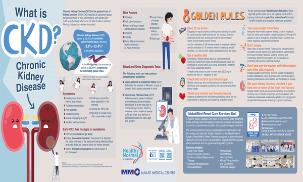 What is Chronic Kidney Disease (CKD) infographic